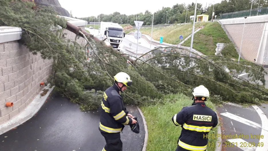 Spadlý strom na silnici v Plzni