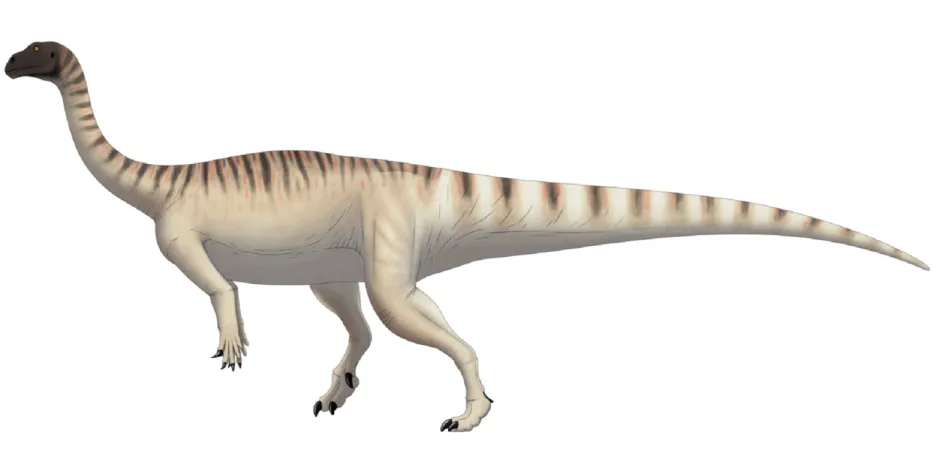 Mussaurus patagonicus