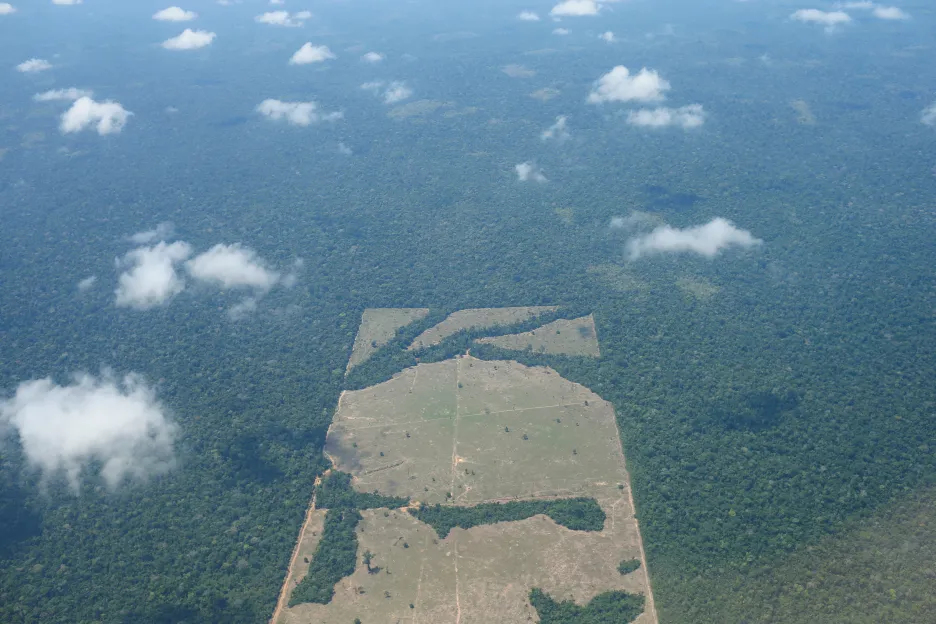 Deforestace Amazonského pralesa 