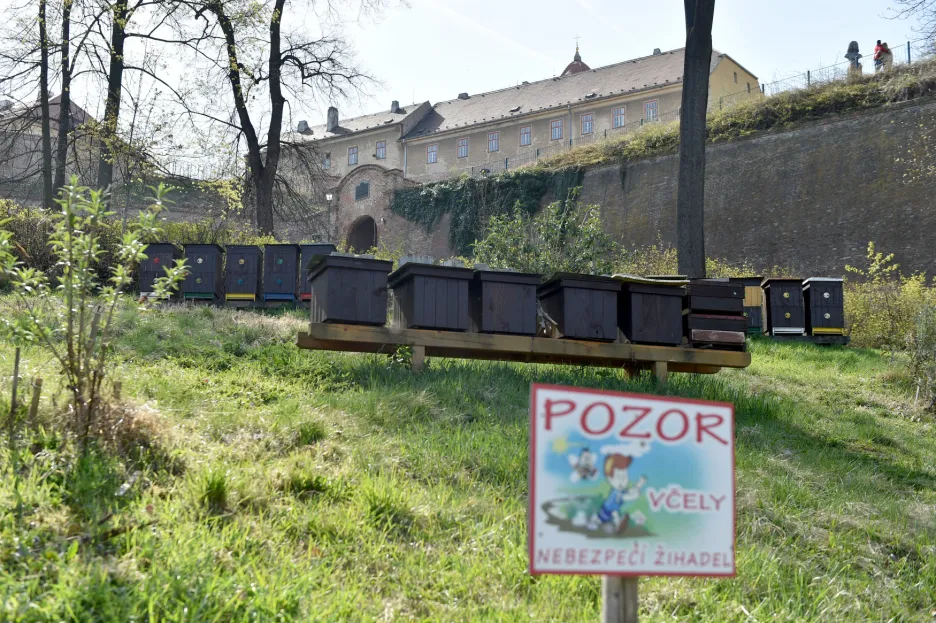 Včelíny pod hradem Špilberk v Brně