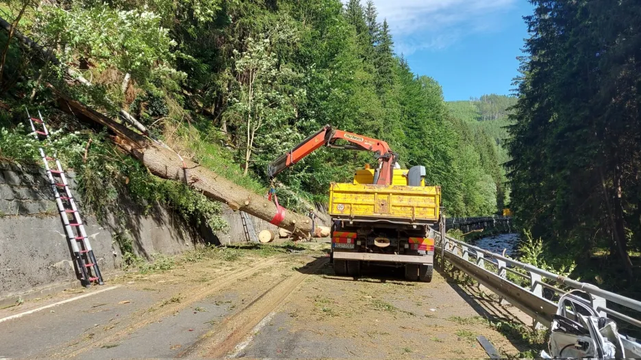 Těžká technika odstraňuje strom na silnici II/252 do Malé Úpy