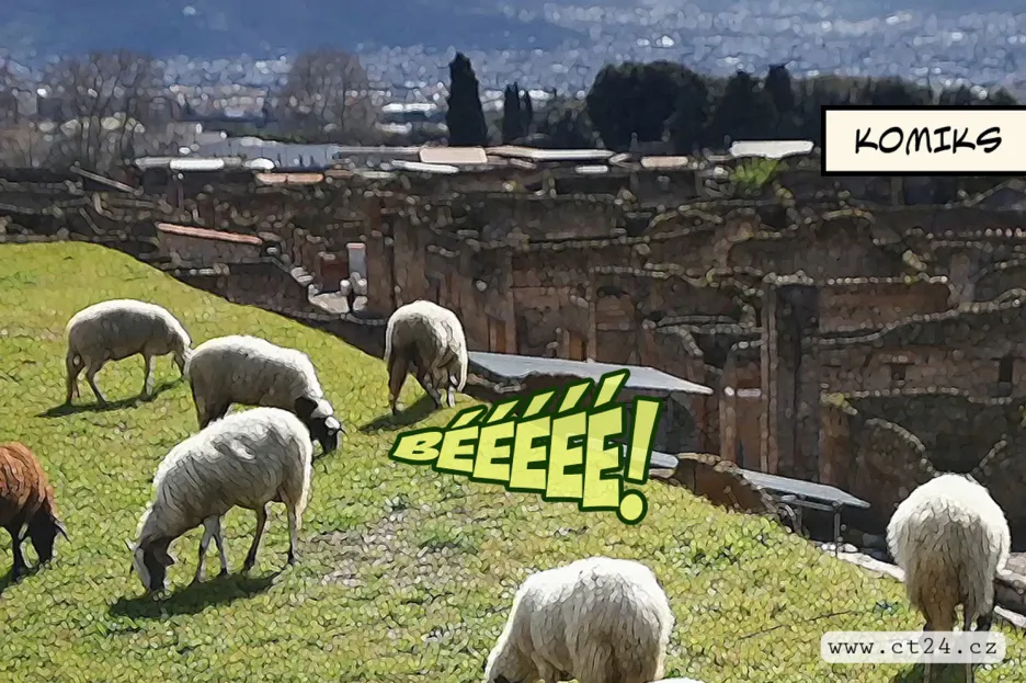 Ovce zachraňují Pompeje