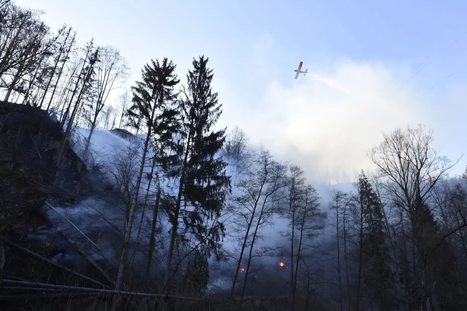 Požár lesa u Železného Brodu