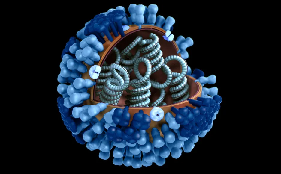 Jak se zbavit virů v těle?