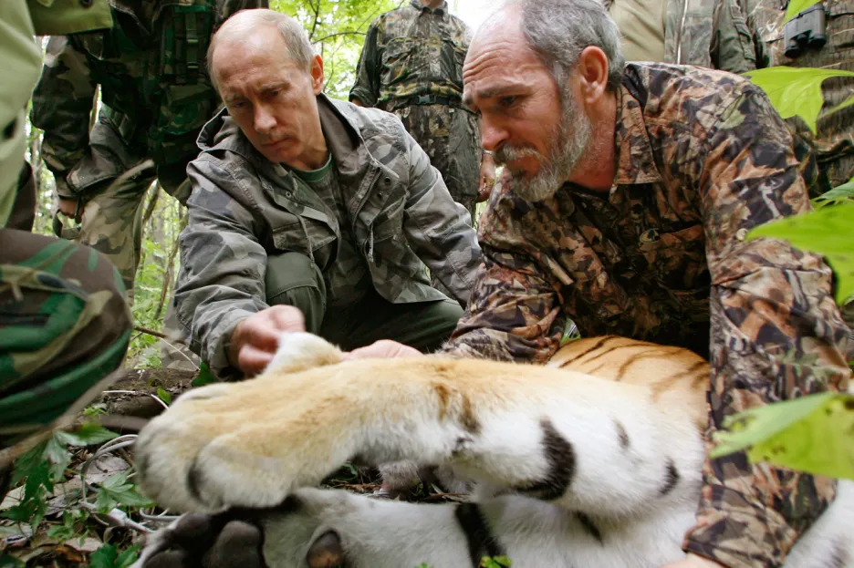 Vladimir Putin s uspaným tygrem