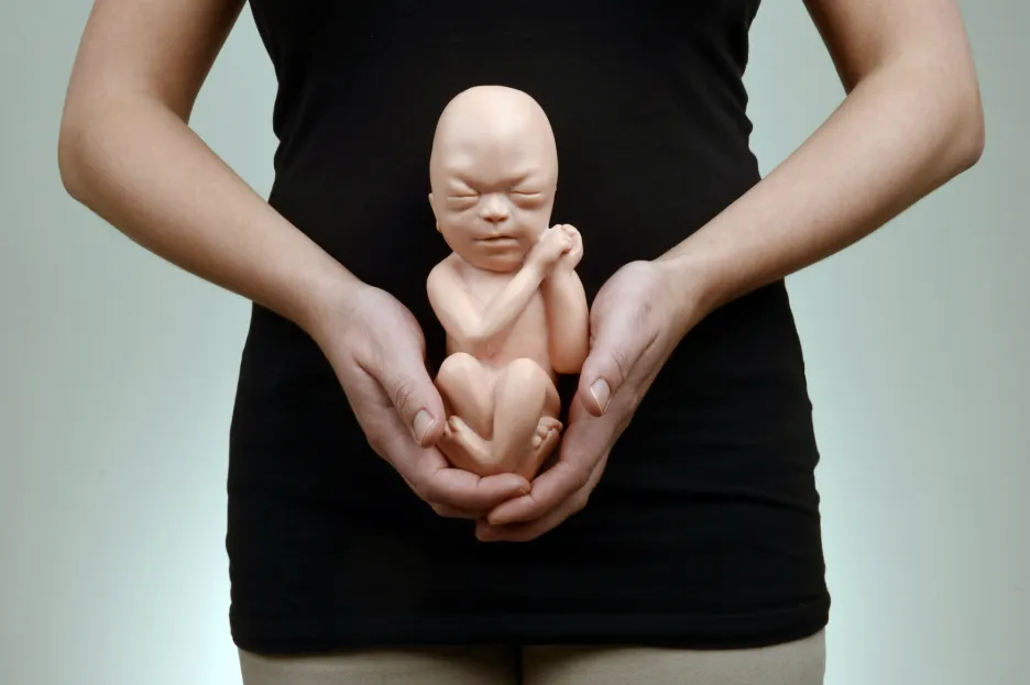 Potrat- ilustrační foto