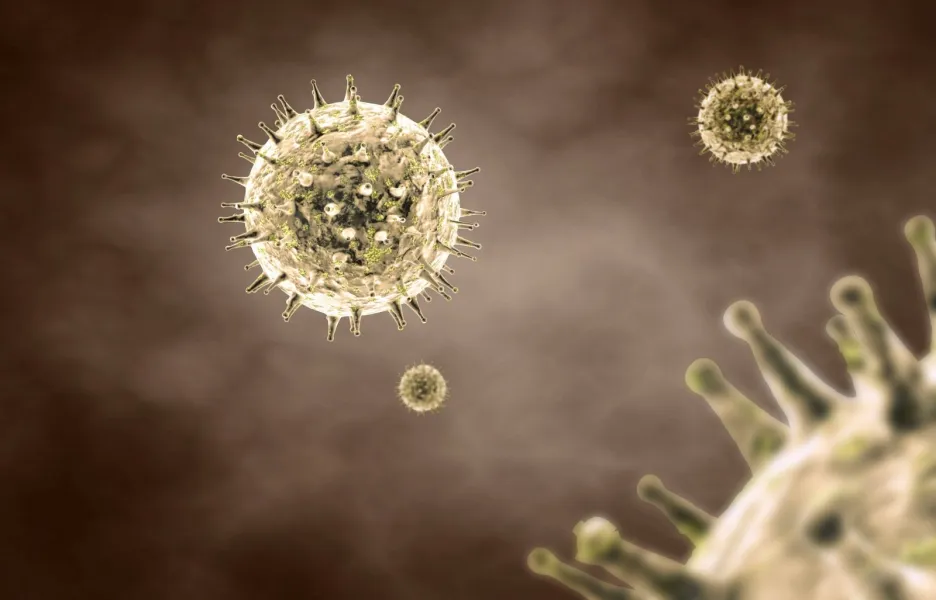 Virus chřipky