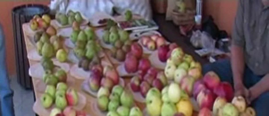 Výstava jablek v Hostětíně