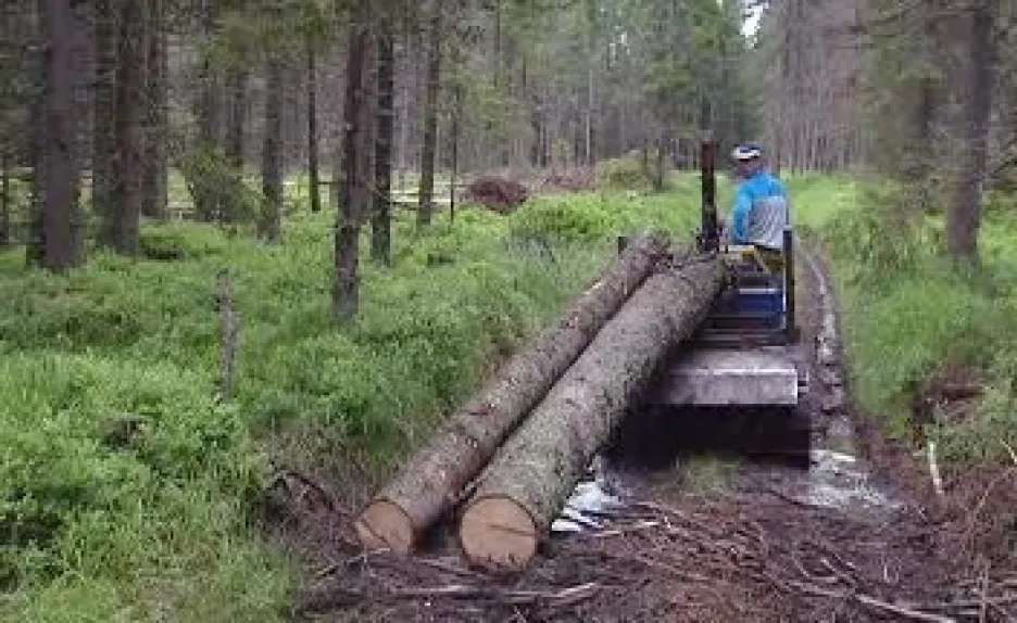 Práce se dřevem
