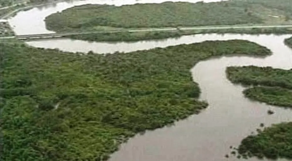 Delta řeky Niger