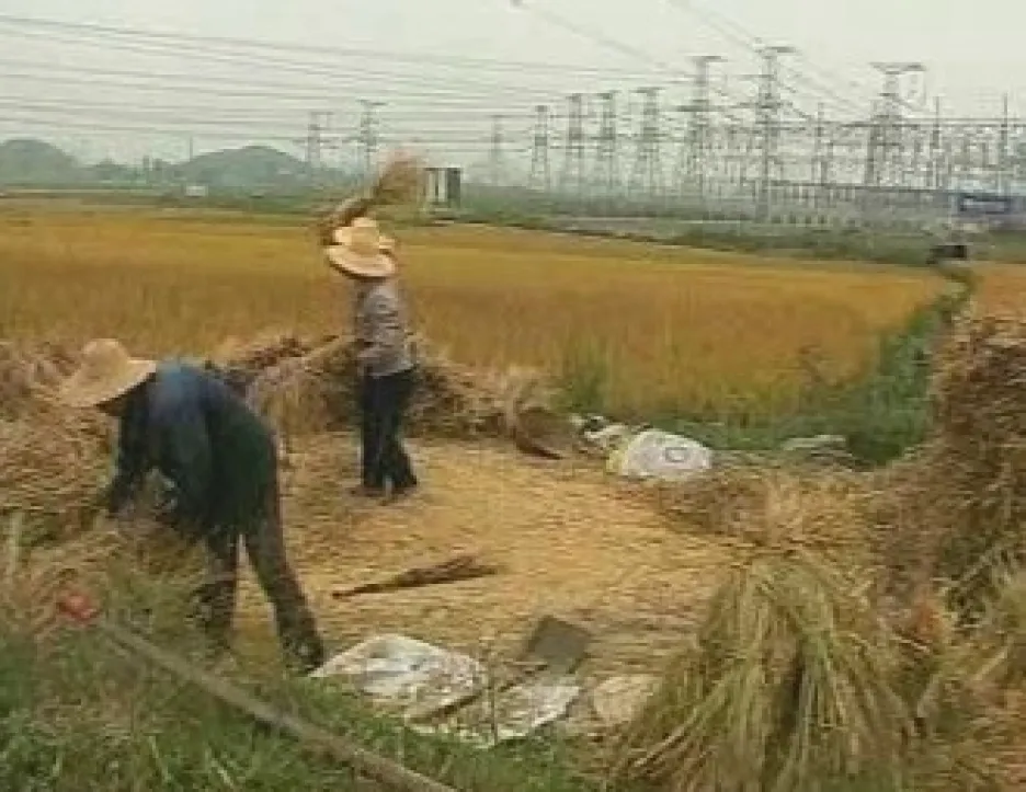 Asijští zemědělci