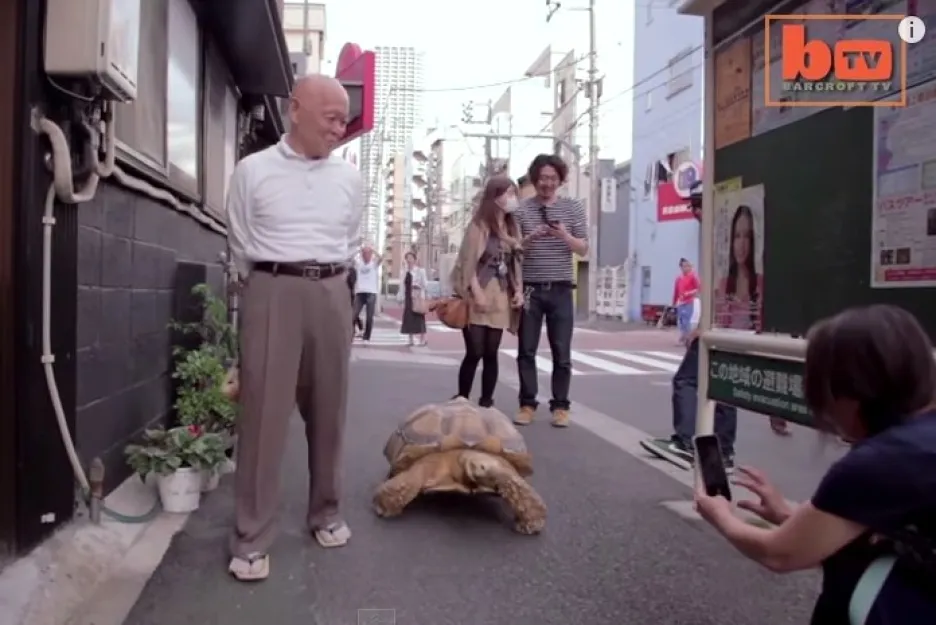 Japonec venčí želvu v Tokiu