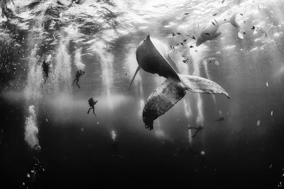 Vítězové fotografické soutěže National Geographic Traveler 2015