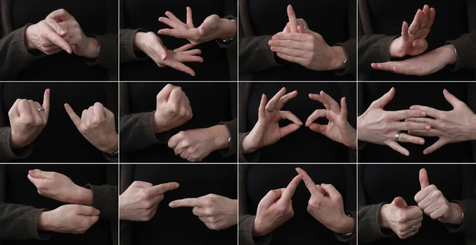 Znakový jazyk
