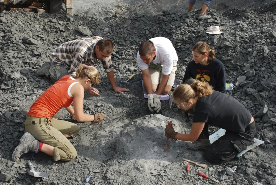 Fosilní nálezy v Polsku
