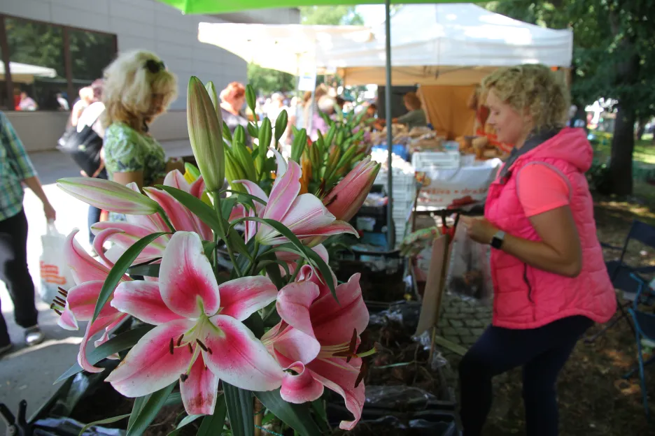 Prodejci na letní etapě výstavy Flora Olomouc