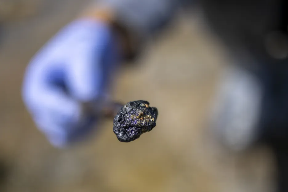 Kousek dehtu z ropné skvrny, nalezený na pláži v izraelské Haifě