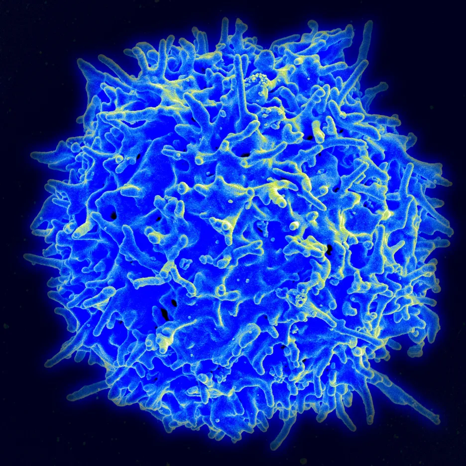 Lidský T-lyfocyt