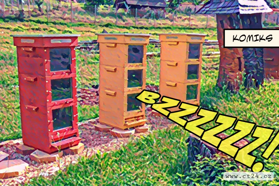 Místo chemických postřiků teplo a slunce. V Kadani zkouší proti včelím roztočům speciální české úly