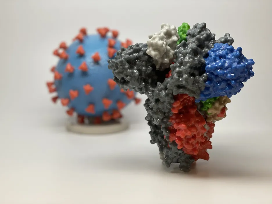 3D model spike proteinu, jímž virus SARS-CoV-2 proniká do buněk