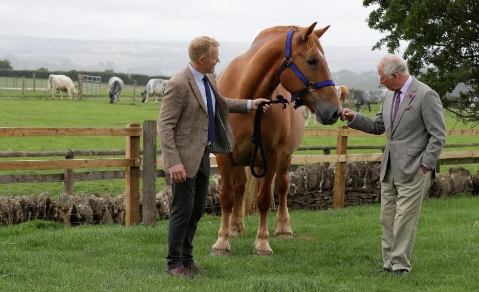 Princ Charles podporuje britské farmy, které se zaměřuí na chov původních plemen 
