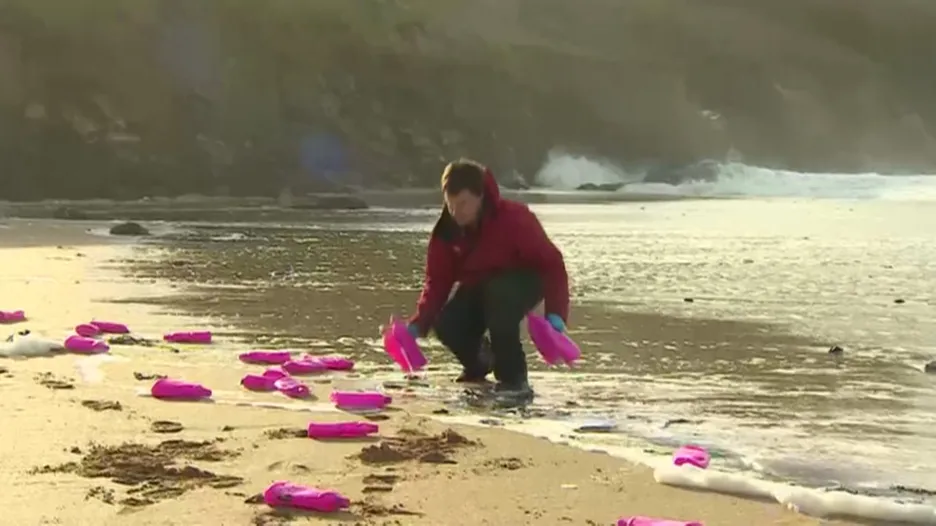 Sběr plastů na pláži
