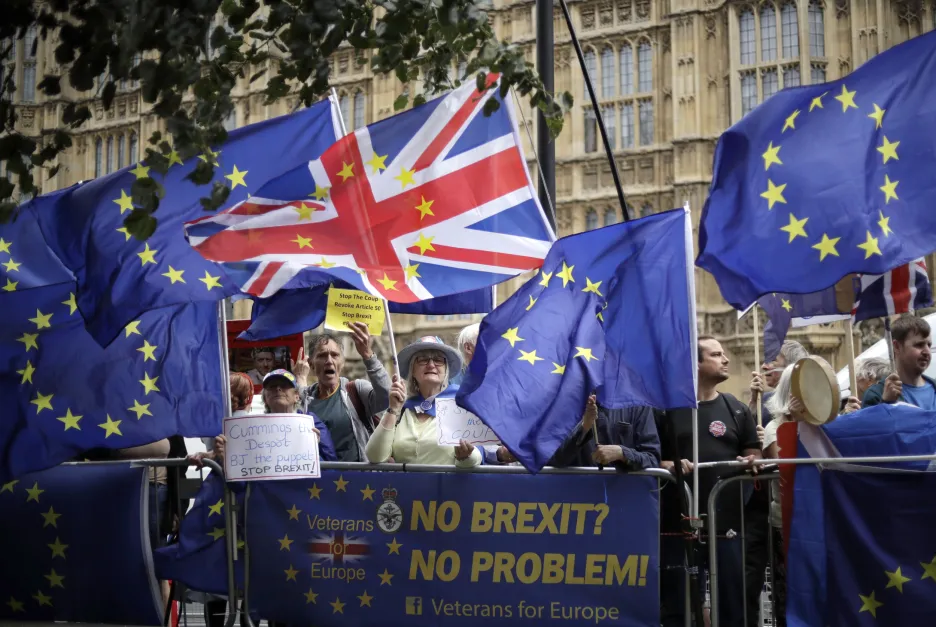 Protest stoupenců setrvání v EU před britských parlamentem