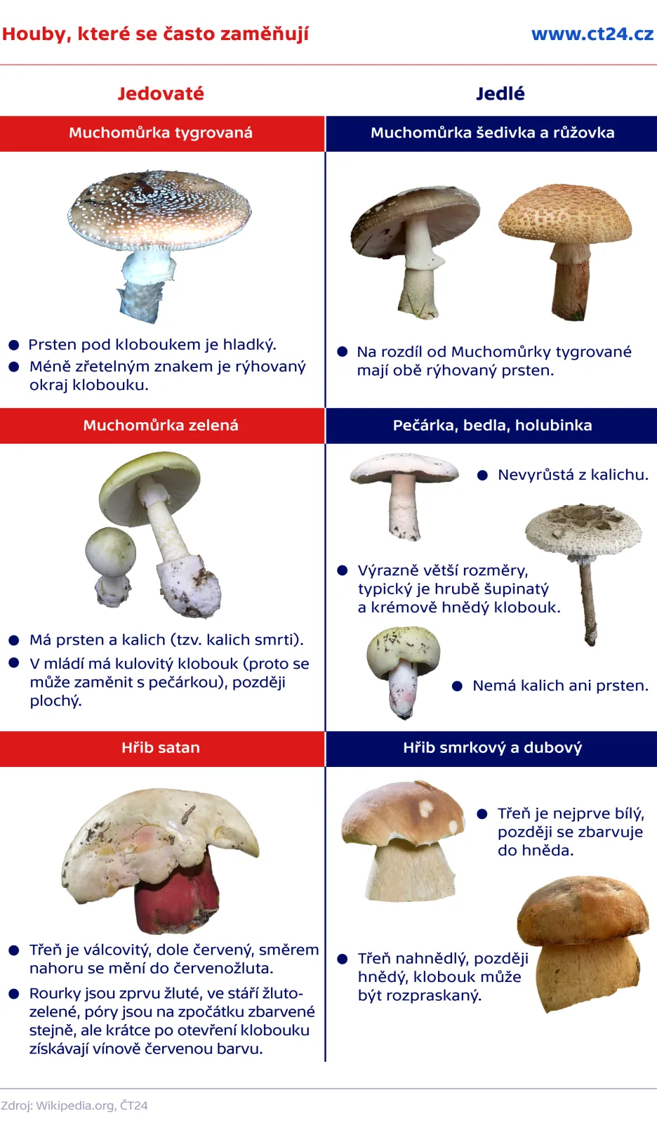 Jaké jsou jedovaté houby?