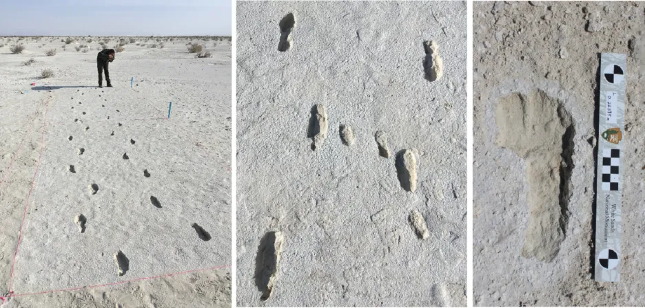 Pravěké lidské stopy nalezené ve White Sands