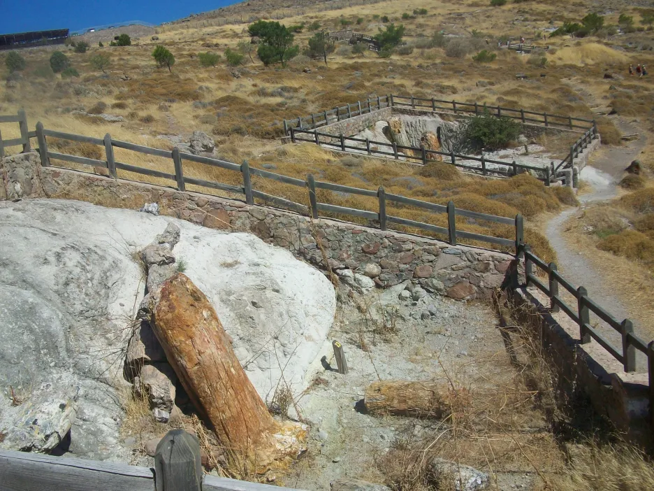 Zkamenělý les na ostrově Lesbos