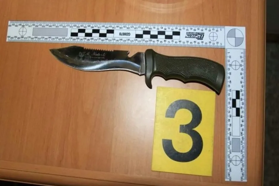 Při domovní prohlídce u hrobníka našli kriminalisté několik zbraní