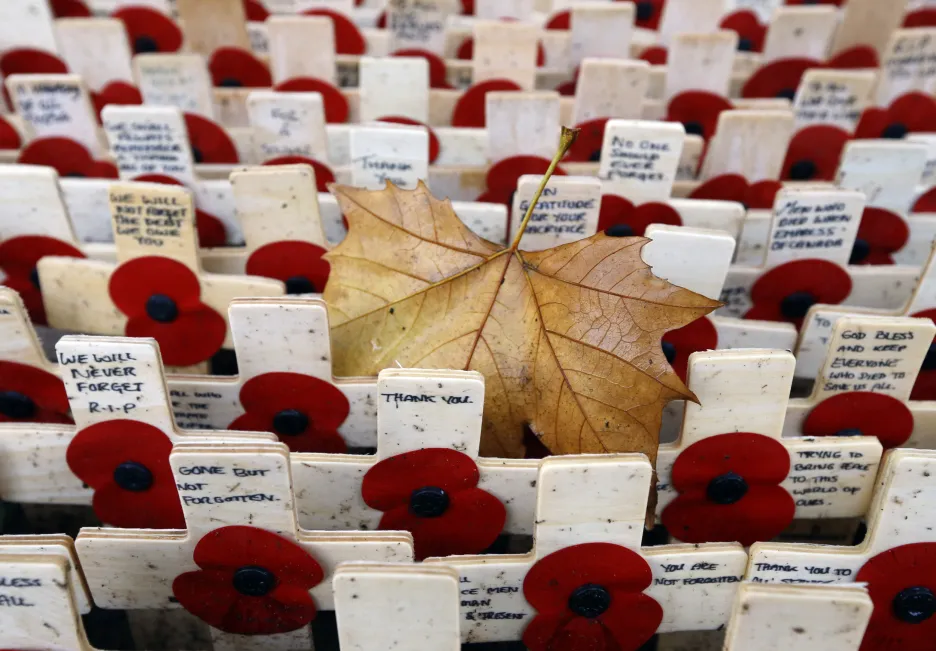 Vlčí máky na Field of Remembrance v britském Westminsteru
