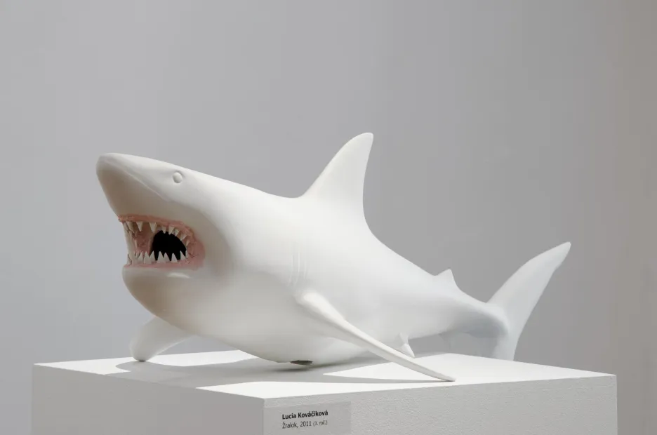 Žralok od Lucie Kováčikové z ateliéru keramiky VŠVU v Bratislavě