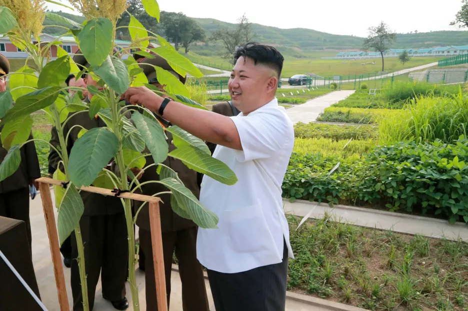 Kim Čong-un kouká na lupení
