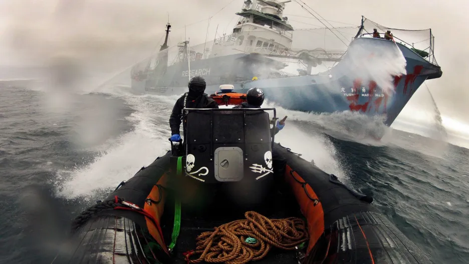 Ekologičtí aktivisté Sea Shepherd