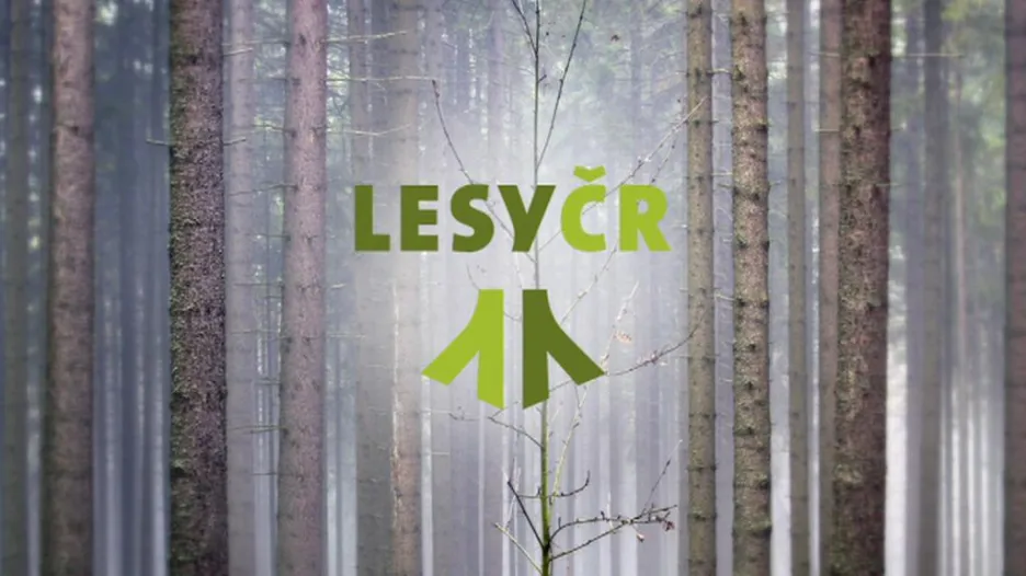 Lesy ČR