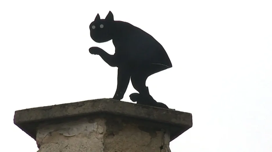 Černé kočky v ulicích Olomouce