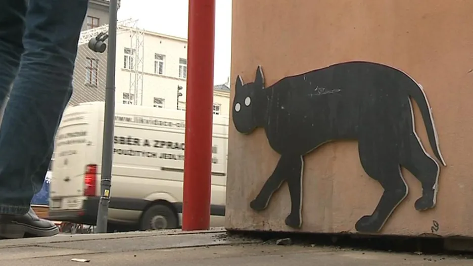 Kočka z Olomouce