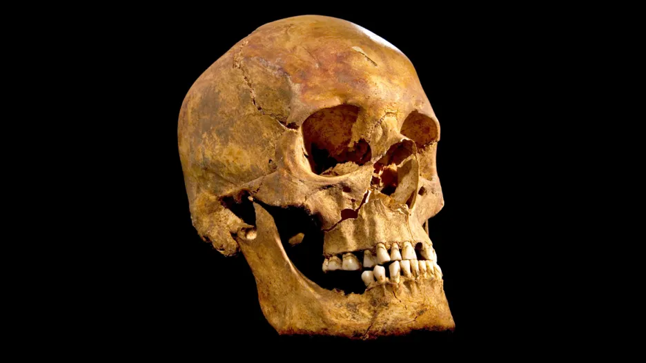 Lebka Richarda III.