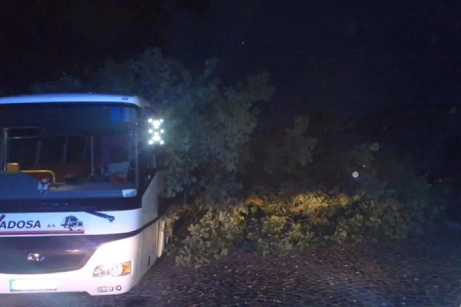 Na autobus spadl strom
