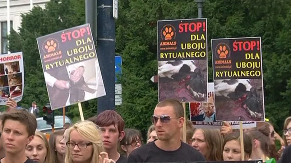 Polský protest proti rituálním porážkám zvířat
