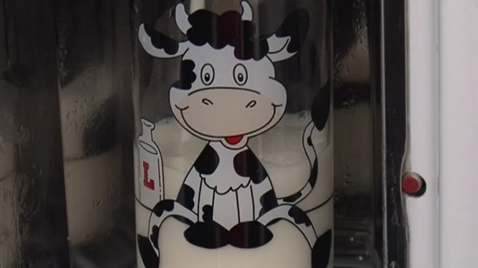 Mléko od krávy je čerstvé, ale nepasterované