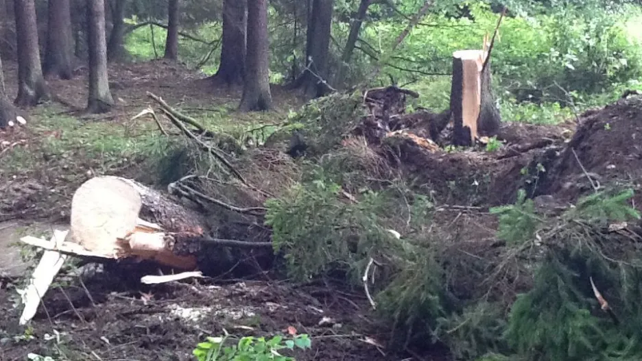 Nedaleko dětského tábora spadlo několik stromů