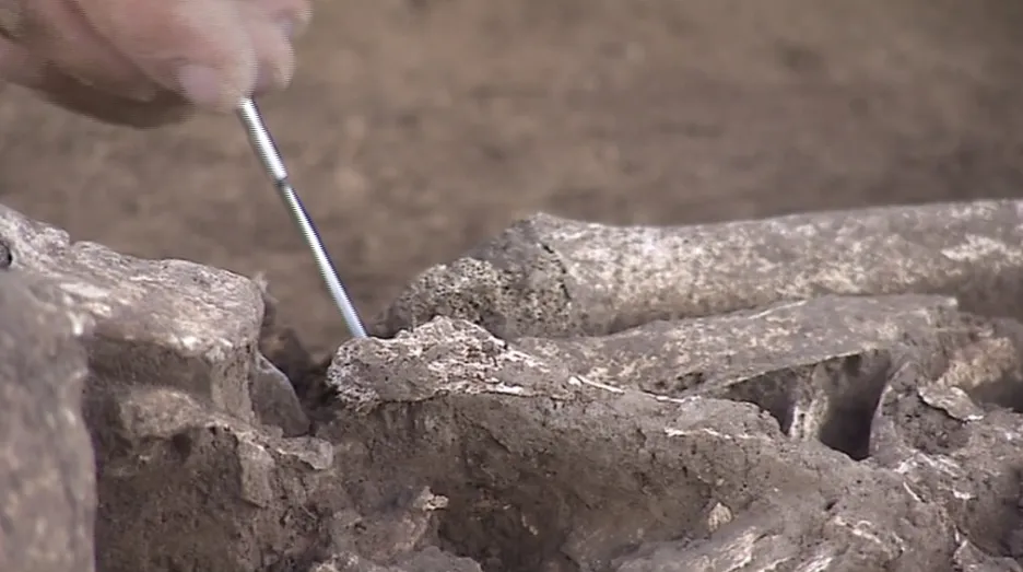 Očišťování kosterních pozůstatků z doby bronzové
