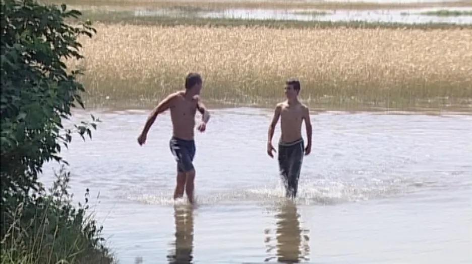 Pole zemědělce z Novosedel, které zatopily záplavy
