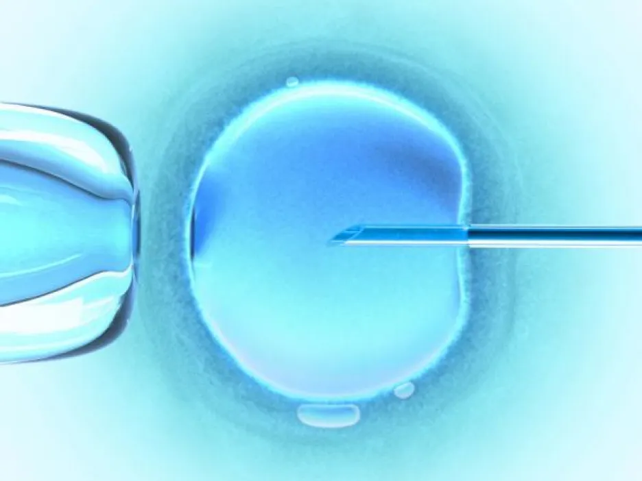 Embryonální kmenová buňka