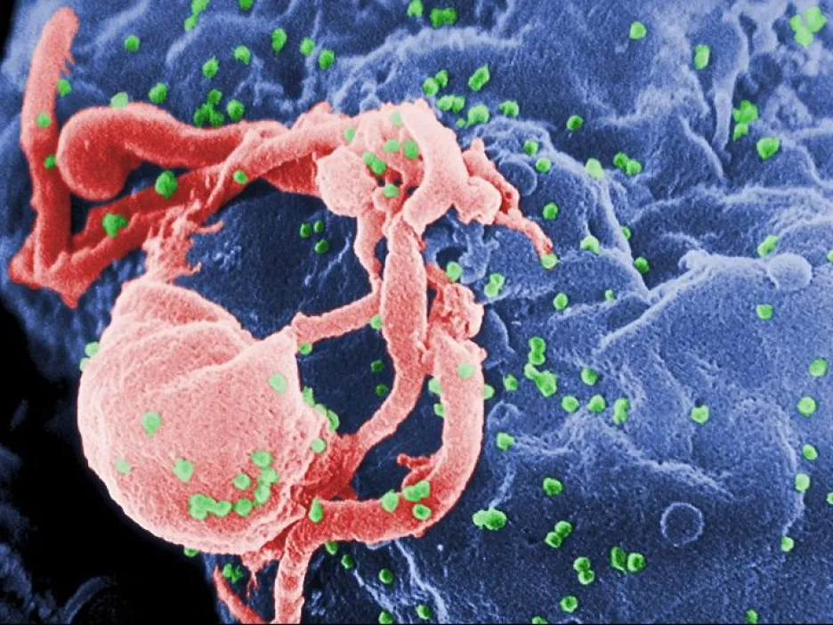 HIV napadající buňku