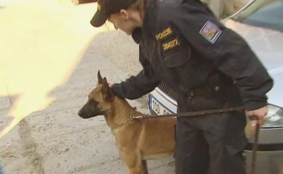 Policejní pes s psovodem