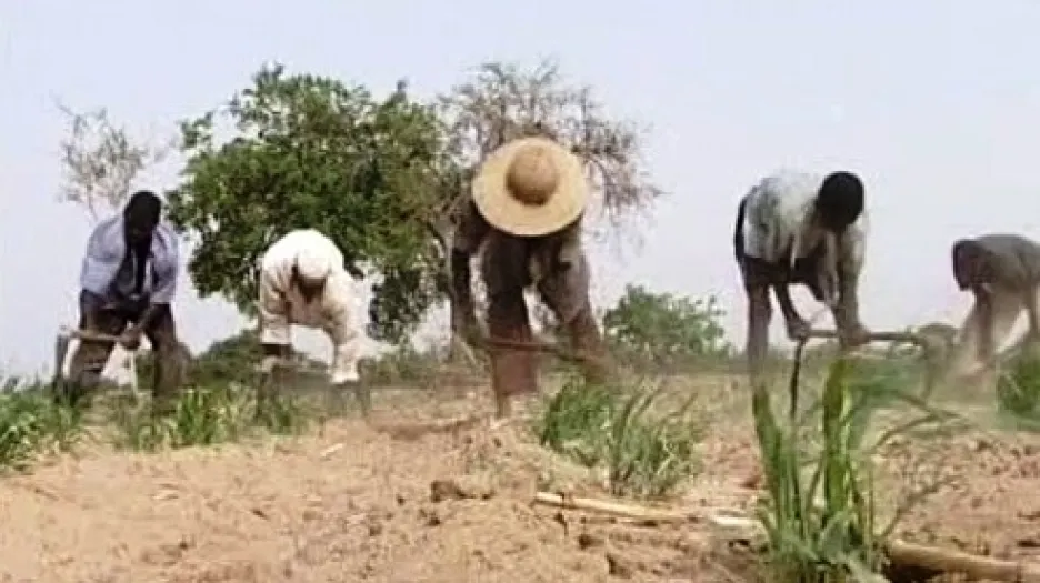Zemědělci v Africe