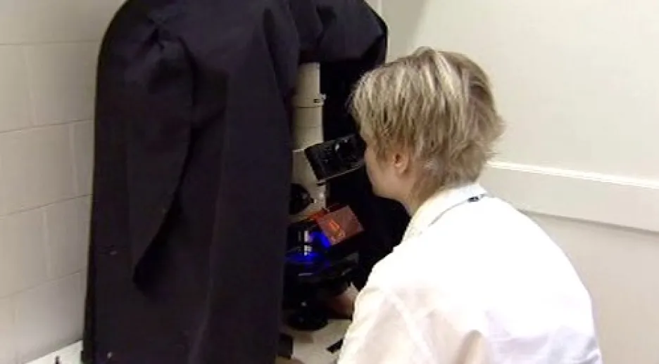 Práce s mikroskopem